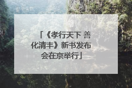 《孝行天下 善化清丰》新书发布会在京举行