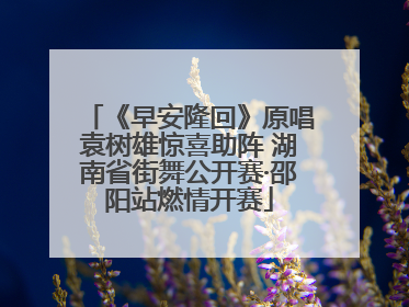 《早安隆回》原唱袁树雄惊喜助阵 湖南省街舞公开赛·邵阳站燃情开赛