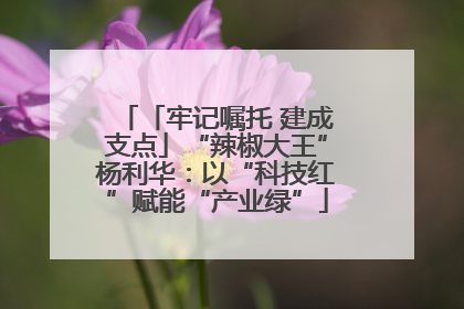 「牢记嘱托 建成支点」“辣椒大王”杨利华：以“科技红”赋能“产业绿”