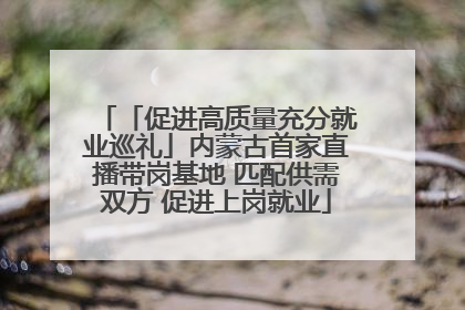 「促进高质量充分就业巡礼」内蒙古首家直播带岗基地 匹配供需双方 促进上岗就业