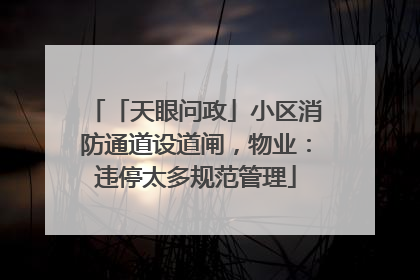 「天眼问政」小区消防通道设道闸，物业：违停太多规范管理