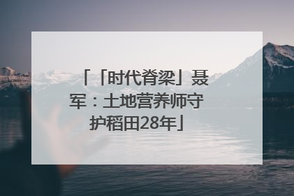 「时代脊梁」聂军：土地营养师守护稻田28年