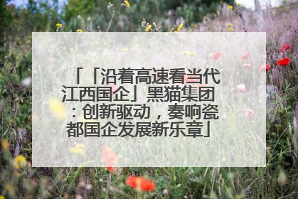 「沿着高速看当代江西国企」黑猫集团：创新驱动，奏响瓷都国企发展新乐章