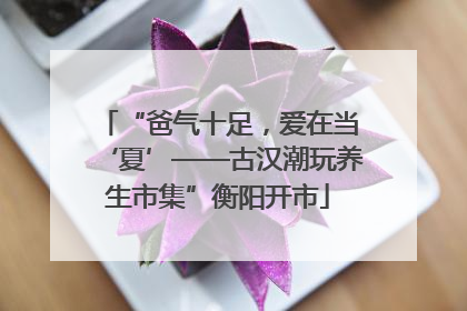 “爸气十足，爱在当‘夏’——古汉潮玩养生市集”衡阳开市