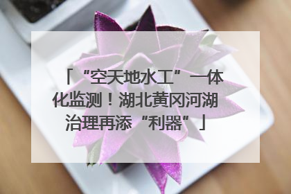 “空天地水工”一体化监测！湖北黄冈河湖治理再添“利器”