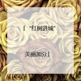“红树进城” 美丽加分