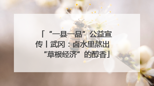 “一县一品”公益宣传丨武冈：卤水里熬出“草根经济”的醇香