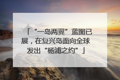 “一岛两翼”蓝图已展，在复兴岛面向全球发出“杨浦之约”