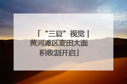 “三夏”视觉｜黄河滩区麦田大面积收割开启