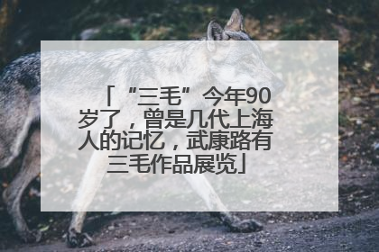 “三毛”今年90岁了，曾是几代上海人的记忆，武康路有三毛作品展览