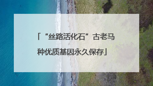 “丝路活化石”古老马种优质基因永久保存