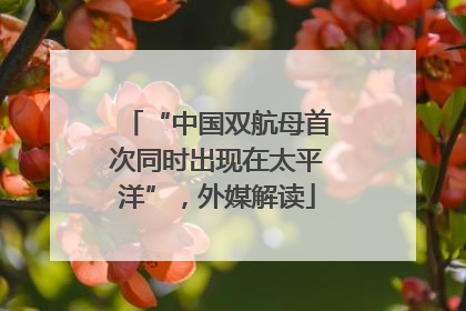 “中国双航母首次同时出现在太平洋”，外媒解读
