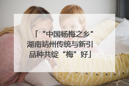 “中国杨梅之乡”湖南靖州传统与新引品种共绽“梅”好