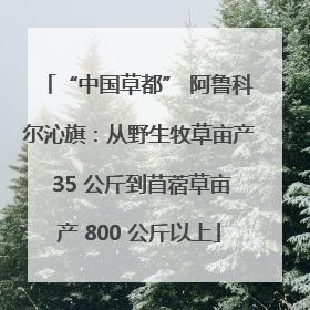 “中国草都” 阿鲁科尔沁旗：从野生牧草亩产 35 公斤到苜蓿草亩产 800 公斤以上
