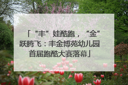 “丰”娃酷跑，“金”跃腾飞：丰金博苑幼儿园首届跑酷大赛落幕