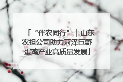 “伴农同行”｜山东农担公司助力菏泽巨野蛋鸡产业高质量发展