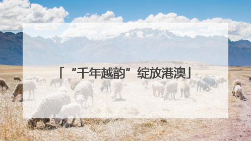 “千年越韵”绽放港澳