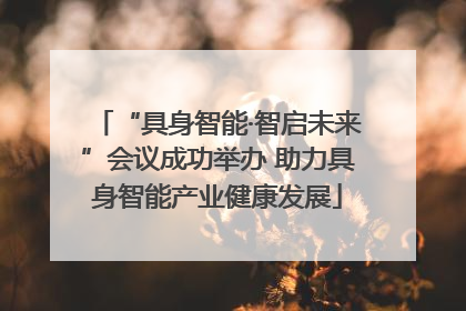 “具身智能·智启未来”会议成功举办 助力具身智能产业健康发展