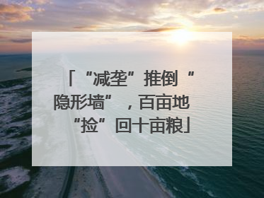 “减垄”推倒“隐形墙”，百亩地“捡”回十亩粮