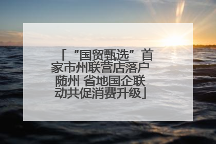“国贸甄选”首家市州联营店落户随州 省地国企联动共促消费升级