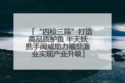 “四检三筛”打造高品质鲈鱼 半天妖携手闽威助力福鼎渔业实现产业升级