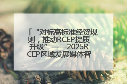 “对标高标准经贸规则，推动RCEP提质升级”——2025RCEP区域发展媒体智库论坛举行专题对话