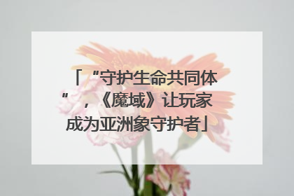 “守护生命共同体”，《魔域》让玩家成为亚洲象守护者