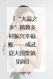 “大蒜之乡”精算乡村振兴幸福账——成武县大田集镇见闻