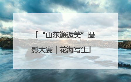 “山东邂逅美”摄影大赛｜花海写生