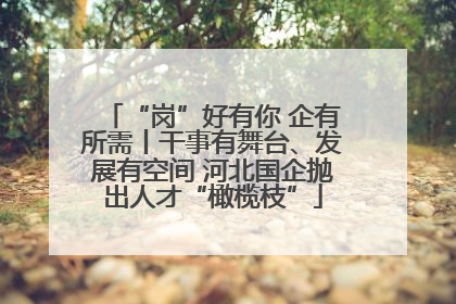 “岗”好有你 企有所需丨干事有舞台、发展有空间 河北国企抛出人才“橄榄枝”