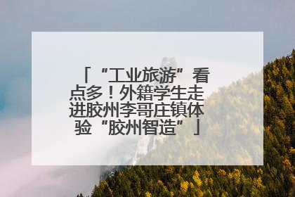 “工业旅游”看点多！外籍学生走进胶州李哥庄镇体验“胶州智造”