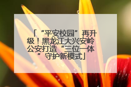 “平安校园”再升级！黑龙江大兴安岭公安打造“三位一体”守护新模式