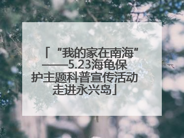“我的家在南海”——5.23海龟保护主题科普宣传活动走进永兴岛