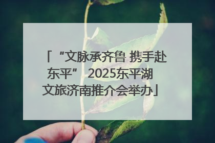 “文脉承齐鲁 携手赴东平” 2025东平湖文旅济南推介会举办