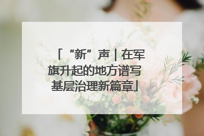 “新”声｜在军旗升起的地方谱写基层治理新篇章