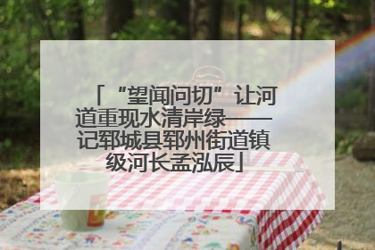 “望闻问切”让河道重现水清岸绿——记郓城县郓州街道镇级河长孟泓辰