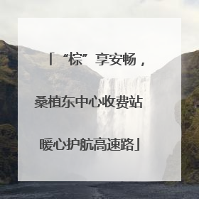 “棕”享安畅，桑植东中心收费站暖心护航高速路