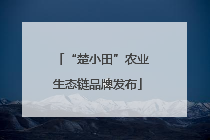 “楚小田”农业生态链品牌发布