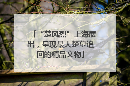 “楚风烈”上海展出，呈现最大楚墓追回的精品文物
