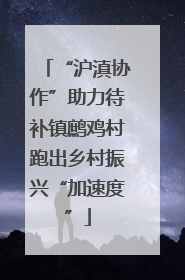 “沪滇协作”助力待补镇鹧鸡村跑出乡村振兴“加速度”