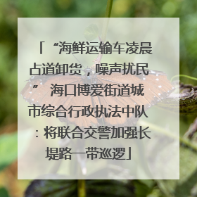 “海鲜运输车凌晨占道卸货，噪声扰民” 海口博爱街道城市综合行政执法中队：将联合交警加强长堤路一带巡逻