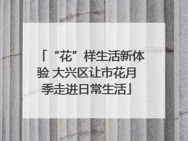 “花”样生活新体验 大兴区让市花月季走进日常生活