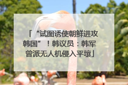 “试图诱使朝鲜进攻韩国”！韩议员：韩军曾派无人机侵入平壤