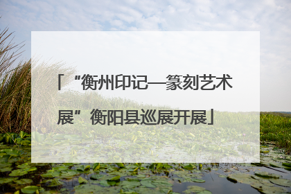“衡州印记—篆刻艺术展”衡阳县巡展开展