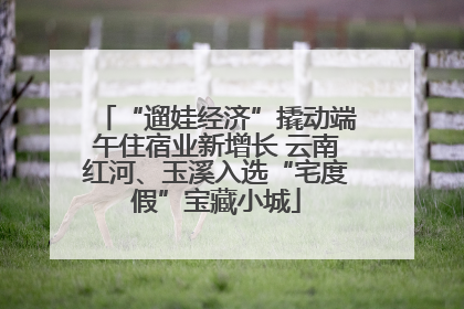 “遛娃经济”撬动端午住宿业新增长 云南红河、玉溪入选“宅度假”宝藏小城