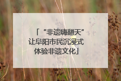 “非遗嗨翻天”让阜阳市民沉浸式体验非遗文化