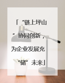 “链上坪山”协同创新，为企业发展充“储”未来