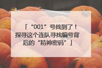 “001”号找到了！探寻这个连队寻找编号背后的“精神密码”