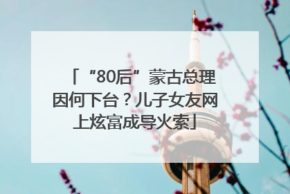 “80后”蒙古总理因何下台？儿子女友网上炫富成导火索