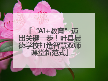 “AI+教育”迈出关键一步！叶县晨德学校打造智慧双师课堂新范式